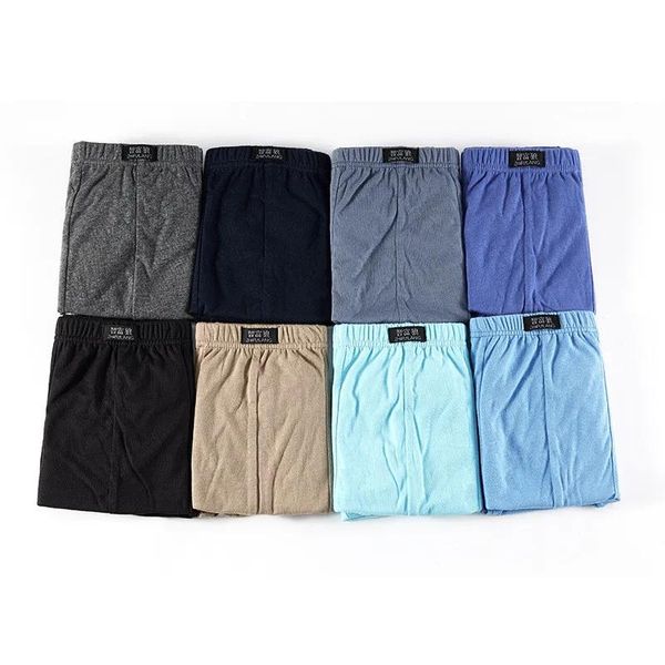 Underpants 5 Packs Brief pugili economici uomini Underpants 100 Cotton biancheria bianche da uomo Mancciale per uomini grandi 5xl 6xl più dimensioni per uomo lotto