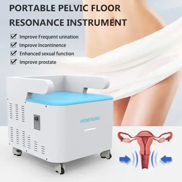 Modello di alto livello EMS Elettromagnetico ad alta energia per l'allenamento dei muscoli del pavimento pelvico Recupero delle perdite urinarie Riabilitazione postpartum Dispositivo per la cura della vagina