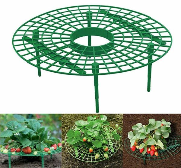 Supporto per fragola Supporto per telaio Balcone Piantagione Supporto per frutta Pianta Fiore Rampicante Vite Pilastro Supporto per giardinaggio XBJK20036295691