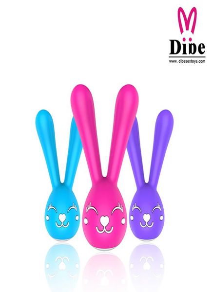 DIBE Recarregável Coelho Clitoral Vibrador 6 Velocidades Mamilo Massageador Clitóris Estimulador Produtos Sexuais Vibrador Brinquedos Sexuais para Mulheres Y3156240