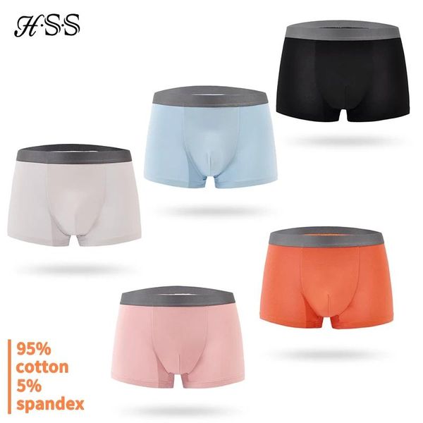 Underpants HSS Cotton Intwear Men Boxer 3pcs/Lot sano Maschio morbido Maschio Under Lingerie Underpants Morandi Color 3xl 4xl 5xl