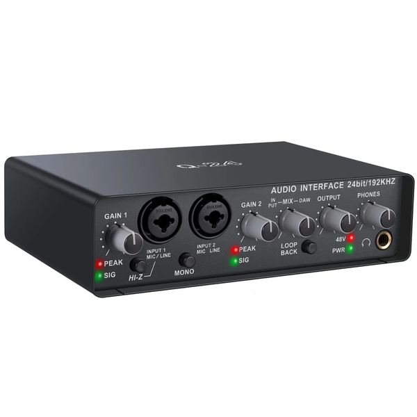 Teyun Q24 Universal Professional Audio Interface USB Computer Arranger Soundkarte mit Monitor E-Gitarre Live-Aufnahme 240110