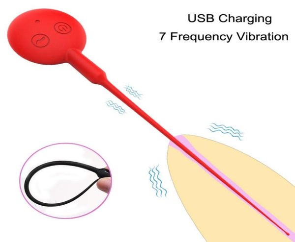 Massagem USB Recarregável Plug Uretral Cateter Uretral Pênis Vibrador Inserção de Som Galo Cateter de Castidade Pênis Brinquedos Sexuais para M2985203