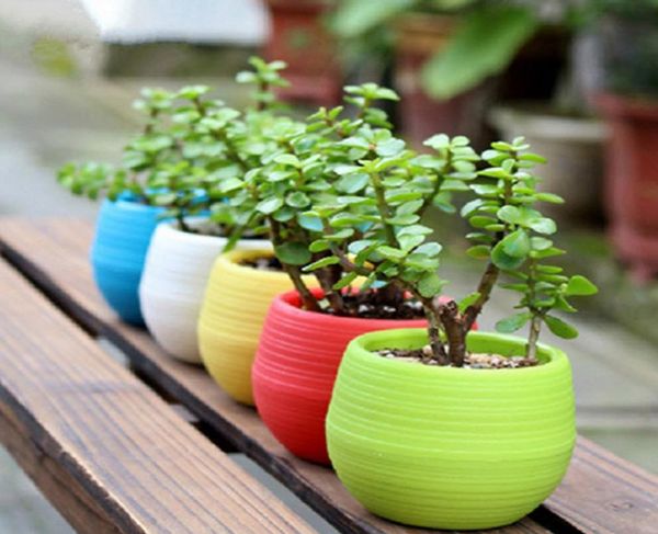 200 pezzi vasi da fiori da giardinaggio piccoli mini colorati in plastica vivaio fioriere vasi da giardino deco strumento da giardinaggio 6915415