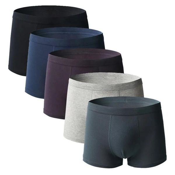 Underpants 5 PCs große Größe Boxer -Briefs Shorts Unterwäsche Männer Unterwäsche Unterschriften Boy Panties Baumwolle Homme Underpants Knickers 4xl 5xl 6xl