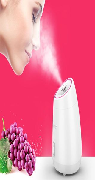 Frutas vegetais Facial Face Steamer doméstico Spa instrumento de beleza Térmica nano spray de água branqueamento rosto máquina de vapor CX20075827790