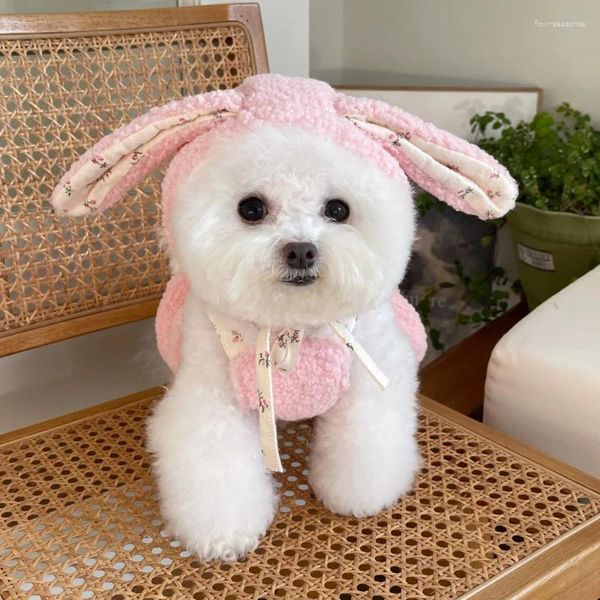 Abbigliamento per cani Costume invernale per animali domestici Cucciolo Piccoli vestiti Gonna Yorkshire Terrier Pomerania Shih Tzu Barboncino maltese Abbigliamento