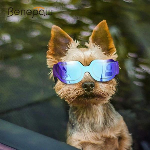 Óculos de sol benepaw moda pequeno cão óculos de sol à prova de vento antipoeira pet óculos com banda ajustável para proteção uv filhote de cachorro óculos
