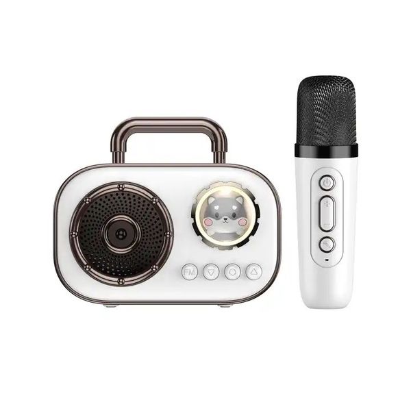 Microfono portatile Altoparlante Bluetooth Karaoke Il più recente Mini Karaoke altoparlante wireless e microfono Microfono portatile per la casa Regalo BT Party Speak Fejp