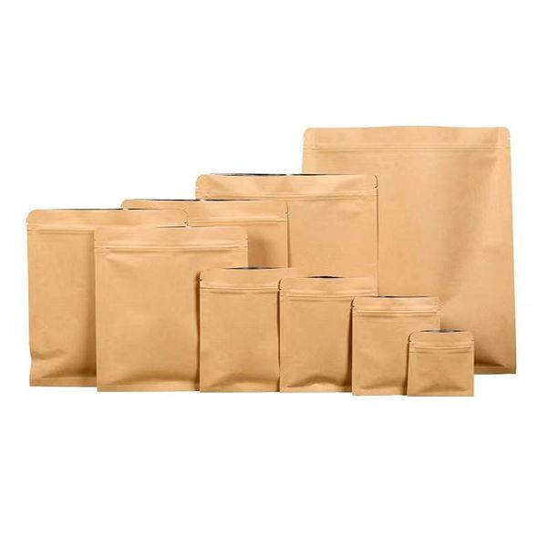 Sacchetti di imballaggio in carta kraft piatti completamente sigillati Custodia in foglio di alluminio per biscotti per alimenti per animali domestici Snack di zucchero Erba secca Chicco di caffè Tè Frutta secca Noci Noccioli Semi Conservazione del riso