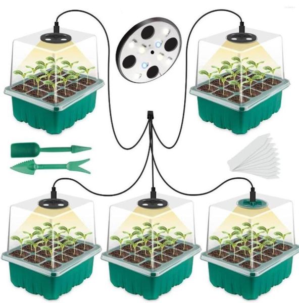 Grow Lights Pflanzensamen-Starter-Tablett-Set, Setzling-Tablett mit Licht-Gewächshaus-Wachstumslöchern, 60 Zellen pro 5 Stück 6069972