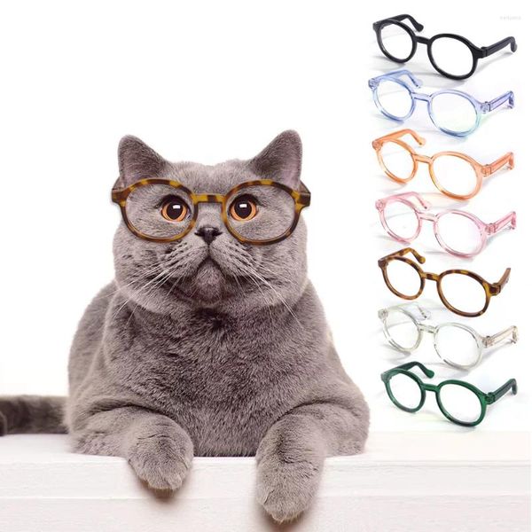 Abbigliamento per cani Occhiali moda per animali domestici Plastica trasparente Gatto Adorabile occhi rotondi Indossa accessori divertenti per personalità