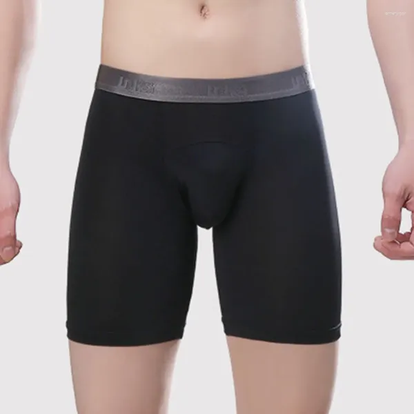 Mutande allungabili Slip boxer sexy da uomo resistenti all'usura Vedi attraverso la biancheria intima Pantaloncini in rete Tronchi Boxer sportivi traspiranti