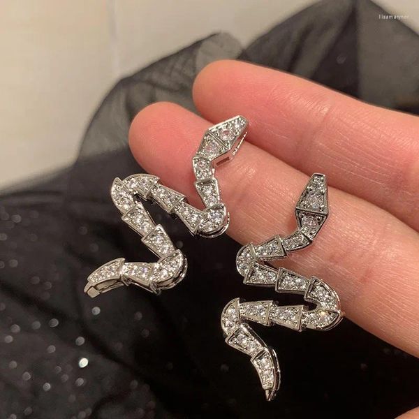 Orecchini pendenti Zircone di alta qualità Serpente nuziale Zircone Orecchino da sposa per accessori da sposa Gioielli da donna per abito da sera