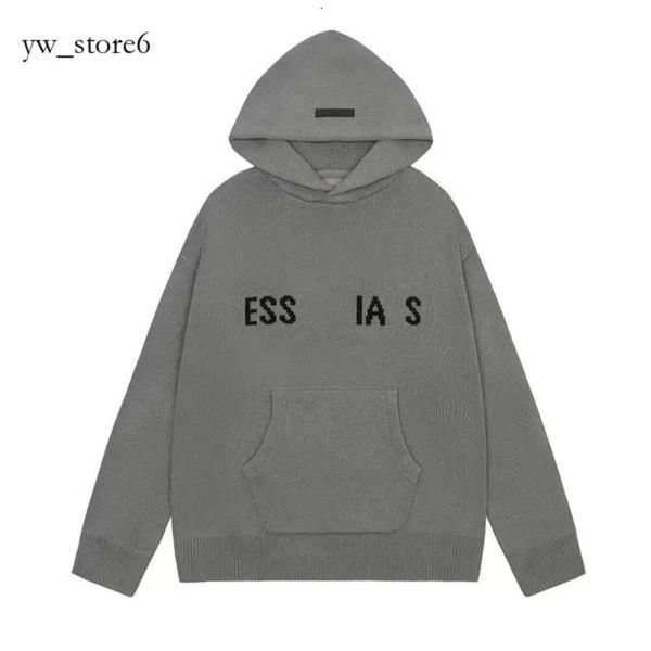 Essentialsss Moletom Com Capuz Masculino Designer Essentialsweatshirts Traje de Rua Feminino ESS Hoodie Casal Top Suéter de Algodão Pulôver Manga Longa Essentialshoodie 7338