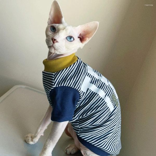 Gato trajes sphynx casaco moda carta impressão moletom mangas compridas para masculino cinza algodão listrado camiseta gatinhos na primavera