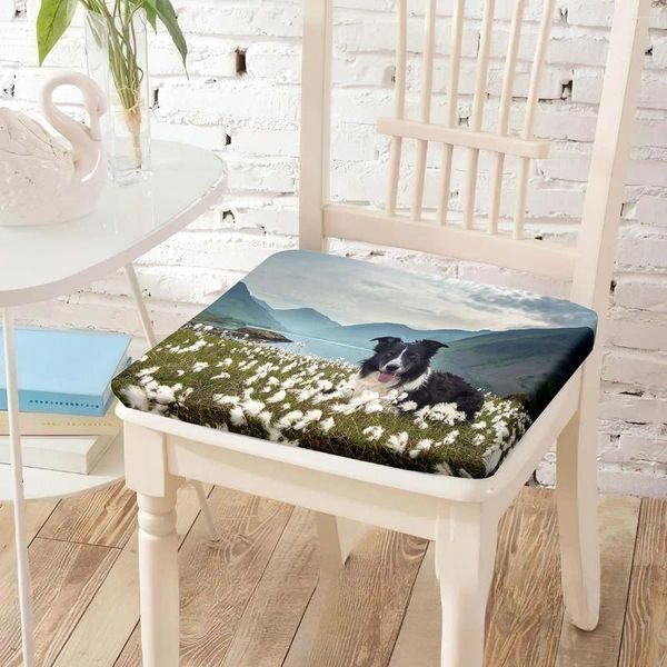 Cuscino Border Collie Mountain Lake Stampa Sedia Memory Foam Sedile S Comfort Sedie Imbottitura Per La Sala Da Pranzo Di Casa Tappetino Per Sedia A Rotelle