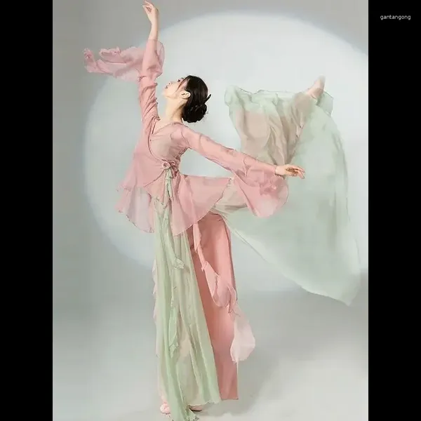 Palco desgaste vestido de dança clássica chinesa fluindo estilo meia saia chiffon traje de desempenho nacional