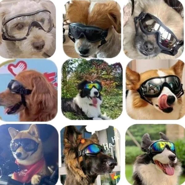 Sonnenbrille, Haustier-Hunde-Augenschutzbrille, zwei elastische Bänder, die spritzwassergeschützt sind, Sand, Sonne und sie langlebiger machen