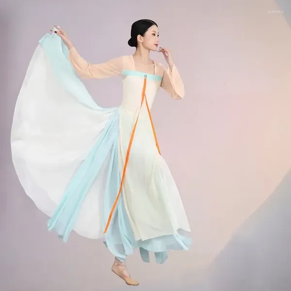 Abbigliamento da palcoscenico Elegante danza cinese Abiti classici per spettacoli nazionali Abiti per adulti Abiti per pratiche popolari Yangko