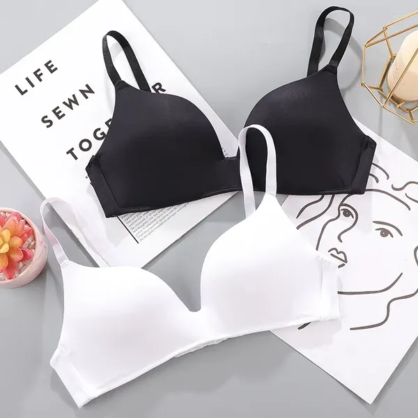 Donne da yoga Donne Bra senza cucitura sexy senza filo spinga da biancheria intima Studenti traspiranti a 10 colori reggiseni da femmina raccolta