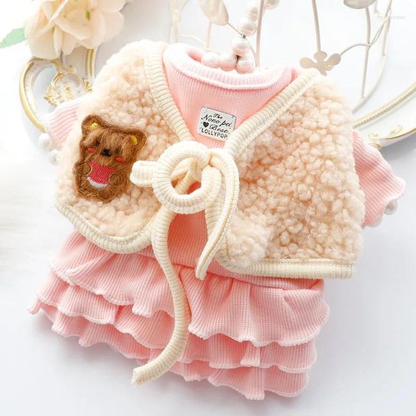 Vestuário para cães Conjunto de duas peças Vestido de princesa Roupas para animais de estimação Cães doces Roupas Gato Bonito Outono Inverno Rosa Moda Menina Yorkshire Acessórios