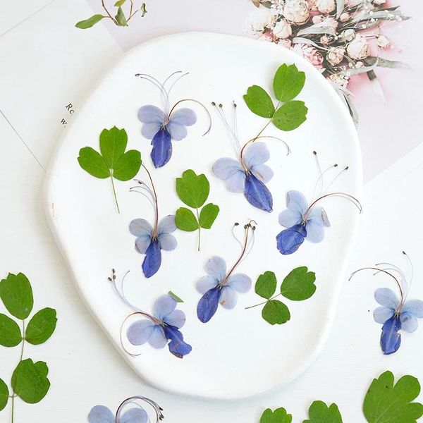 Fiori decorativi 4-6 cm/12 pezzi pressati blu farfalla fiore gocciolante gel materiale fai da te segnalibro cartolina di Natale trucco per il viso