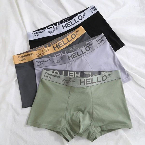 Cuecas masculinas calcinha boxer shorts confortáveis leite seda algodão cuecas boxershorts lote plus size L-4XL