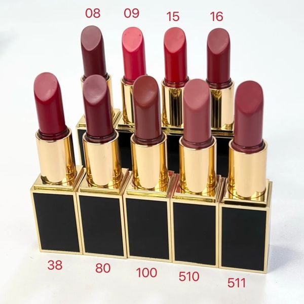 Professionelle Marke Lippenstift Lippenfarbe Matte Rouge a Levres Mat 3g Multi Girl Beauty Make-up Stock Epacket Ship 240113