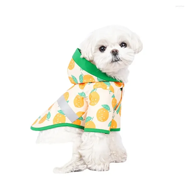 Cão vestuário verão fruta impressão pet capa de chuva elegante cor contrastante costura roupas de duas pernas bonito para caminhar o