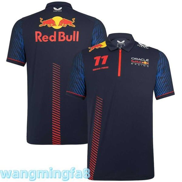 Herren-T-Shirts, 2024, neues Designer-F1-Racing-T-Shirtteam, kurzärmeliges Poloshirt für schnell trocknende Sommerarbeit, Auto-Anzug, Radsport-Shirt, Renn-T-Shirt