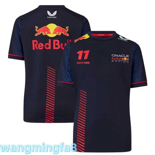 Homens camisetas 2024 Novo Designer F1racing T-shirtteam Racing T-shirt Camisa de ciclismo Secagem rápida Verão Trabalho Carro Uniforme de manga curta Sportswear para homens