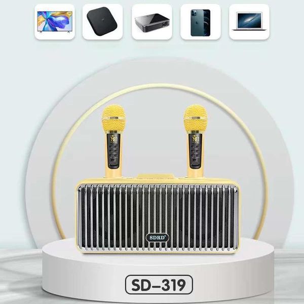 Microfoni SDRD319 KARAOKE MACCHINA CASA KIT KIT PORTATIVA ATTREZZATURA PORTATIVA CONTRO CON SUCCHIO DI MICROPHONI MICROPHONI SULLA WIRELESS