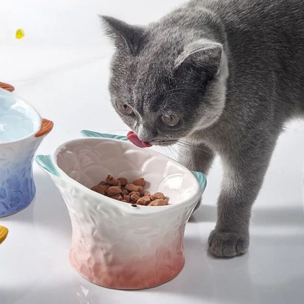 Ciotola da gatto per alimentazione per alimentatore per alimentatore per cani trattate ciotole alimentazione per alimentazione mangiando piatti elevati in ceramica gattino decorativo creativo acqua allevata 240116