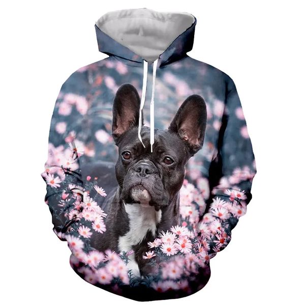 2024 Französisch Bulldog Lustige Mode Lässig 3D Mit Kapuze Sweatshirts Männer Frauen Frühling Tier Pullover Übergroßen Hoodie 240115