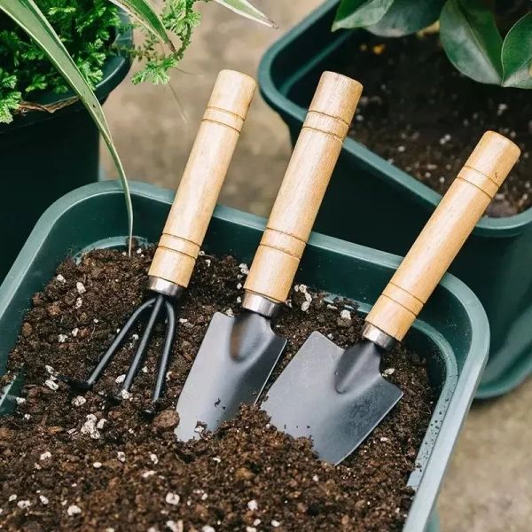 Forniture da giardino mini pala 3pcs/set di fiori di piantagione domestica piante in vaso allentate facili da trasportare utensili manuali da giardino 0116