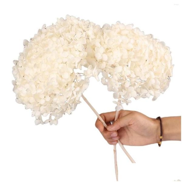 Dekorative Blumen Kränze Dekorative Blumen 2 Stück getrocknete konservierte weiße Hortensien natürliche echte Hortensien für Vase Boho Home Weddi Dhyvb