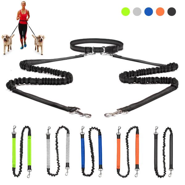 Mãos livres 2 trelas de cão bungee retrátil animal de estimação correndo cintura trela para caminhar jogging treinamento caminhadas para cães grandes suprimentos 240115