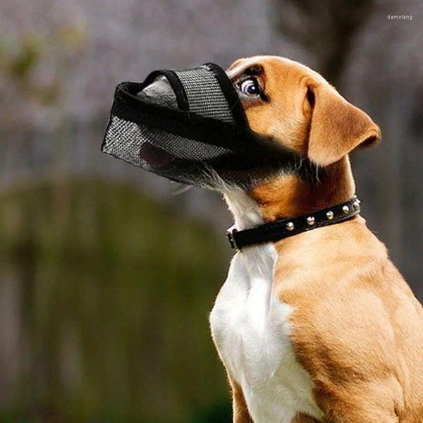 Collari per cani Muso traspirante Anti-morso Anti-abbaiare Copri bocca con cinturino regolabile Air Mesh Accessori bevibili