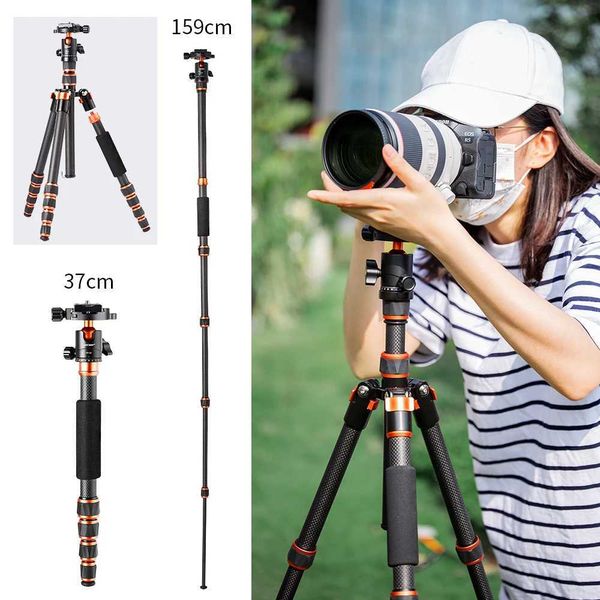 Tripodlar K F Konsept Karbon Fiber Kamera DSLR için Tripod Taşınabilir Hafif Taşınabilir Seyahat Tripod 360 Derece Panorama Ball Headl240115