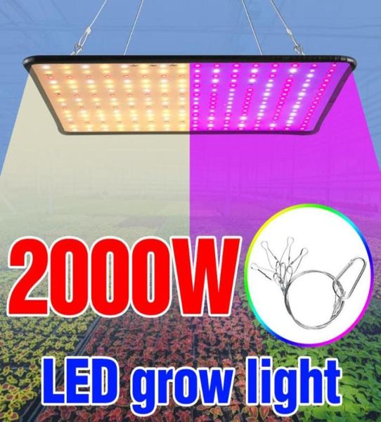 Pflanze wachsen Licht 2000W Blume Phyto Wachstum Panel Lampe LED Vollspektrum Sämling Fito EU US UK Stecker Veg 240 Lichter6297896