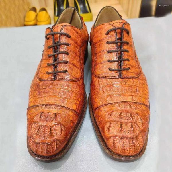 2025 Sapatos de vestido Tianxin Chegada Homens Crocodilo Formal Couro Marrom