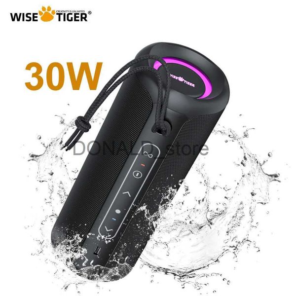 Портативные колонки WISETIGER P3 Портативный Bluetooth-динамик 30 Вт IPX7 Водонепроницаемый мощный звуковой ящик Bass Boost BT5.3 RGB Двойное сопряжение TWSConnectivity J240117