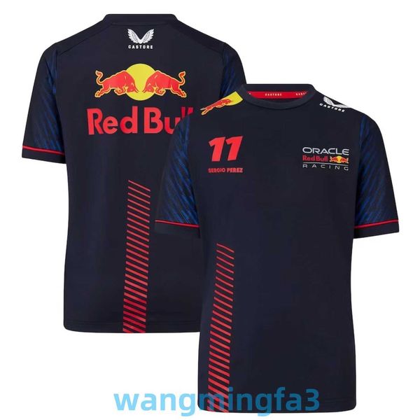 2024 Novo Modelo Camisetas Masculinas Designer F1 Team Racing T-shirt Camisa de Ciclismo Secagem Rápida Verão Trabalho Uniforme de Carro de Manga Curta Sportswear para Homens