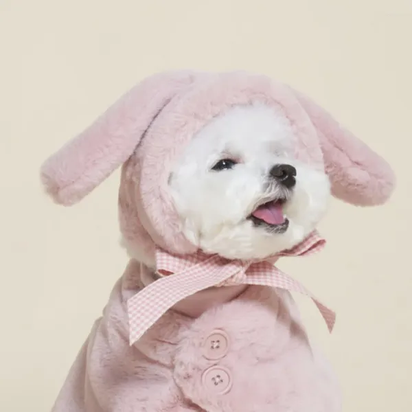 Köpek giyim ins sevimli ayı kulaklar evcil hayvan kafa kapağı sonbahar ve kış peluş peluş sıcak yumuşak şapka kedi yavru süslemeler aksesuarlar