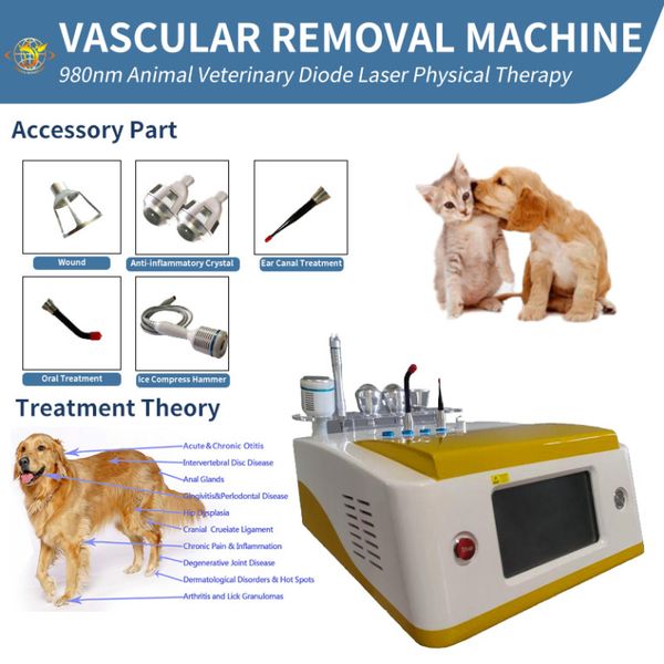 Terapia laser per animali Dispositivo medico opzionale per fisioterapia fisica veterinaria a diodi 980nm325