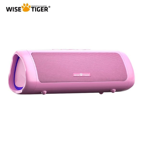 Динамики WISETIGER Портативный Bluetooth-динамик Открытый звуковой ящик BT5.3 True Wireless Стереозвуковой динамик 24 часа воспроизведения со подсветкой