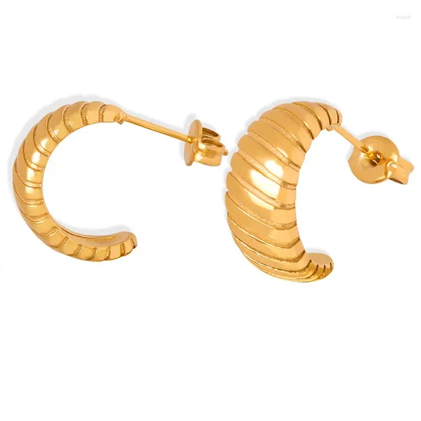 Brincos Marka de aço inoxidável para mulheres, banhado a ouro em forma de C, orelha elegante, textura, acessórios de joias, presente de menina