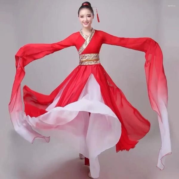 Abiti da ballo con maniche ad acqua, abbigliamento da palcoscenico, Jinghong Hanfu, abito da spettacolo classico cinese, costume popolare