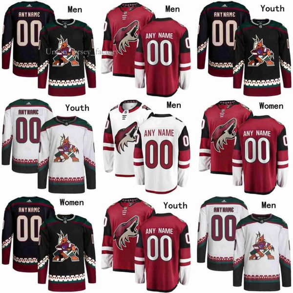 Arizona Hokey Coyotes Formaları 3 Josh Brown 61 Dysin Mayo 90 J.J. Moser 2 Patrik Nemeth 51 Troy Stecher 25 Conor Timmins 4 Juuso Valimaki 39 3278